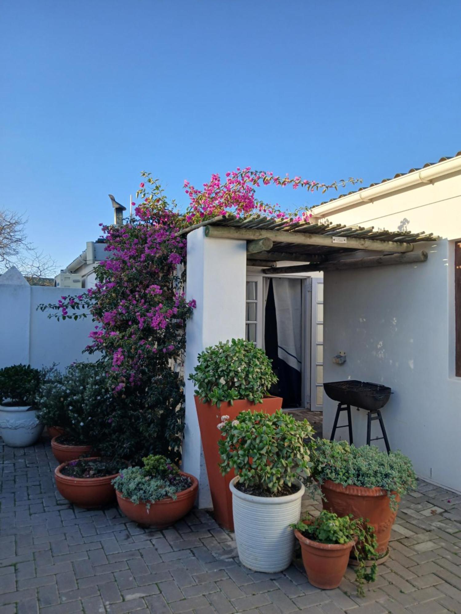 Langebaan Kite Cottages Ngoại thất bức ảnh